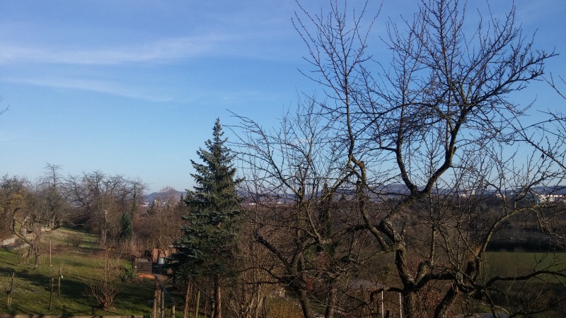 Bild 4 Bild 4